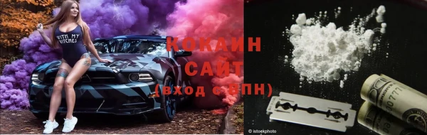 трава Наволоки