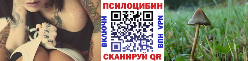 Галлюциногенные грибы Cubensis  kraken tor  Уссурийск  где продают наркотики 